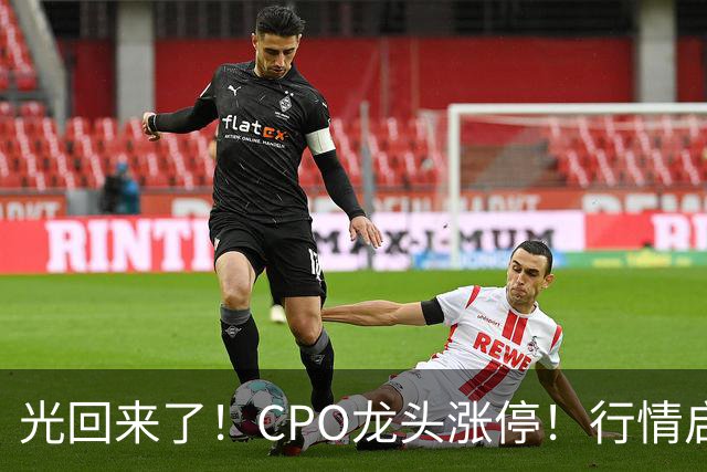 光回来了！CPO龙头涨停！行情启动？亨通光电，中际旭创，新易盛